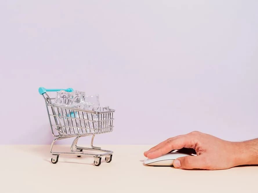 Vendor Central Management services for Amazon brands